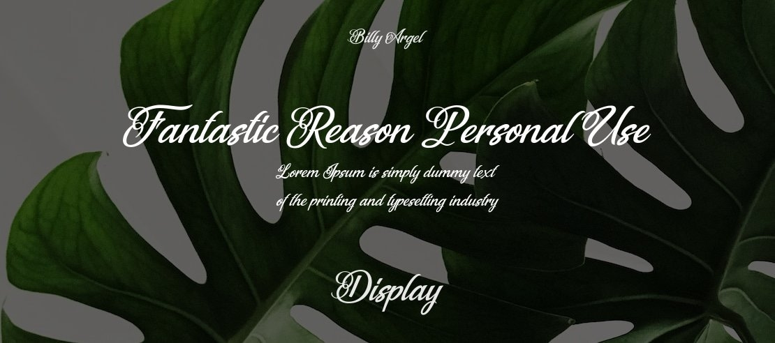 Fantastic Reason Personal Use Font