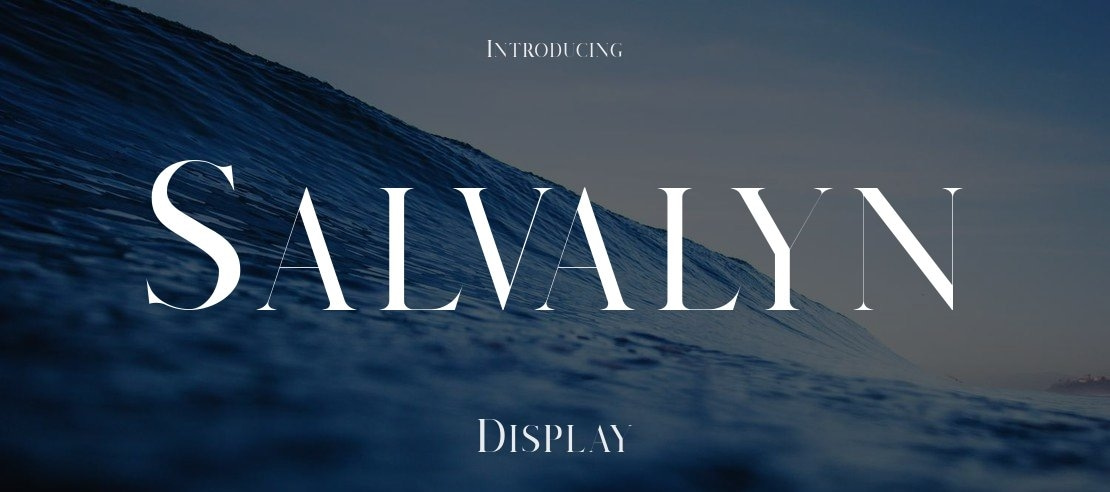 Salvalyn Font Family