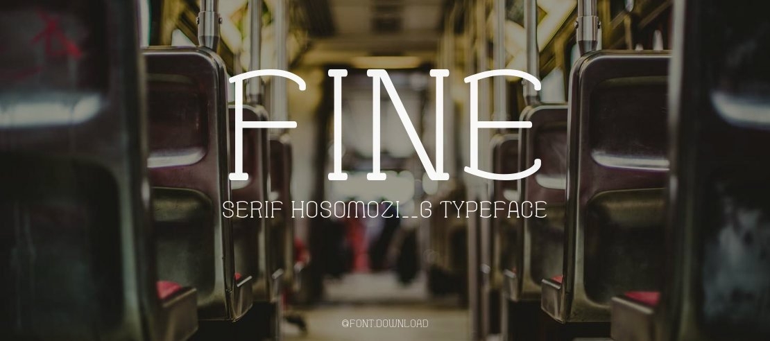 Fine Serif Hosomozi__G Font