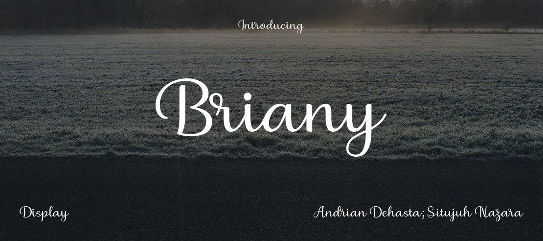 Briany Font Family