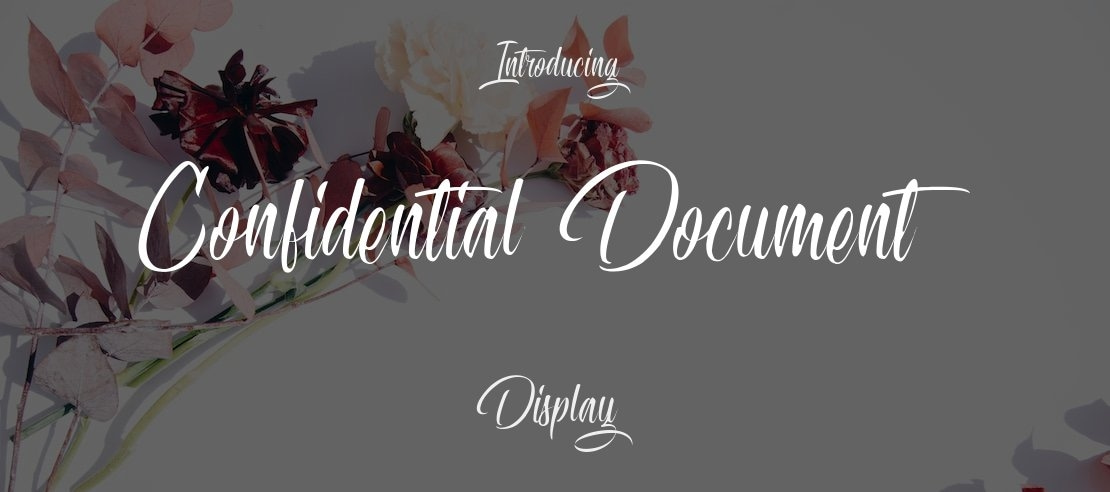 Confidential Document Font