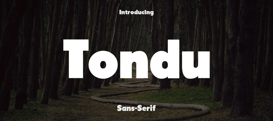 Tondu Font
