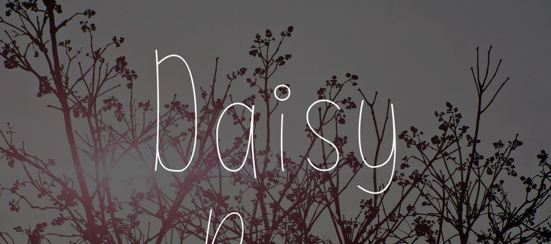 Daisy Rae Font