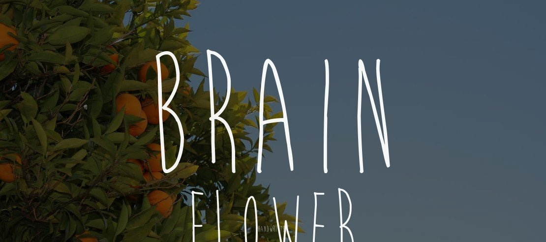 Brain Flower Font