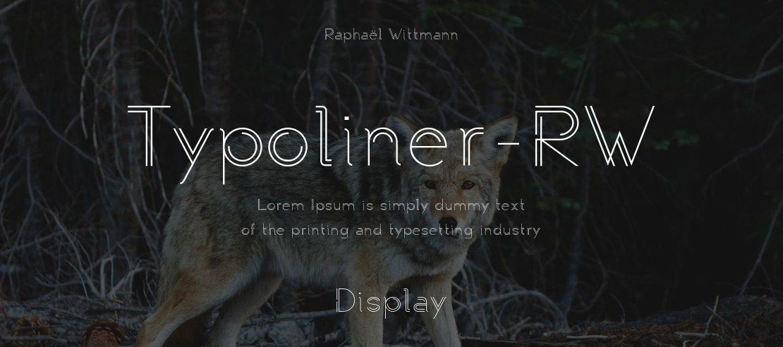 Typoliner-RW Font