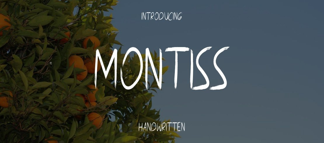 Montiss Font