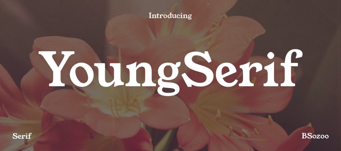 YoungSerif Font