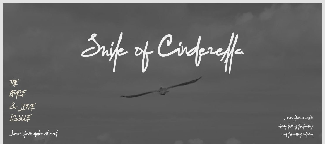 Smile of Cinderella Font