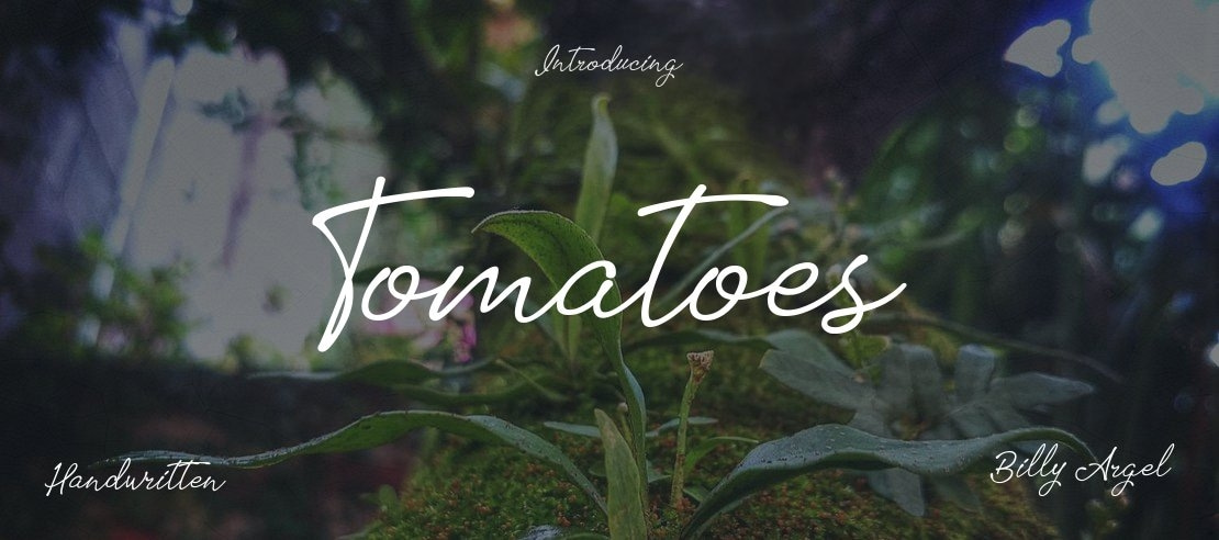 Tomatoes Font