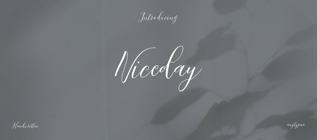Niceday Font