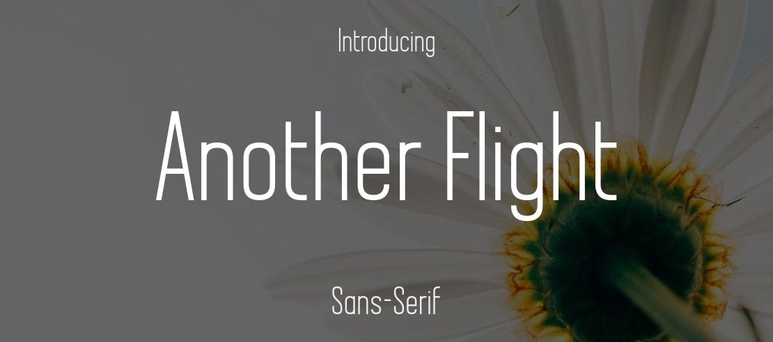 Another Flight Font