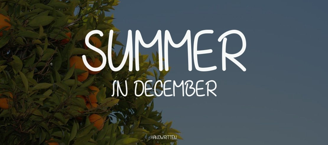 Summer in December Font Family