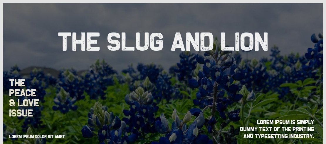 The Slug and Lion Font