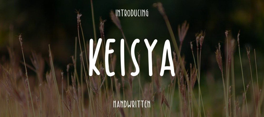 Keisya Font