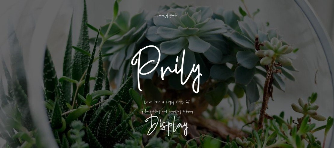 Prily Font