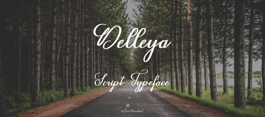 Delleya Script Font