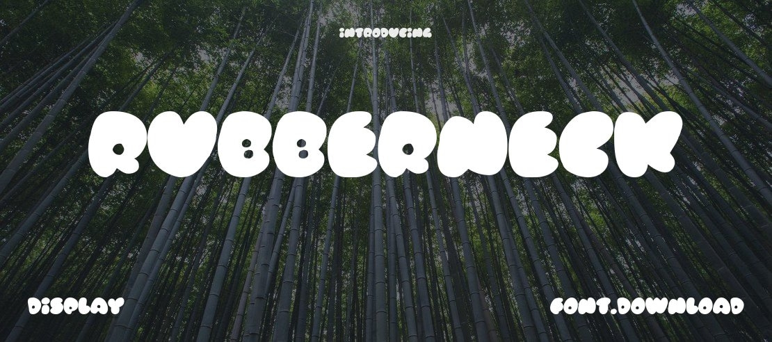 Rubberneck Font