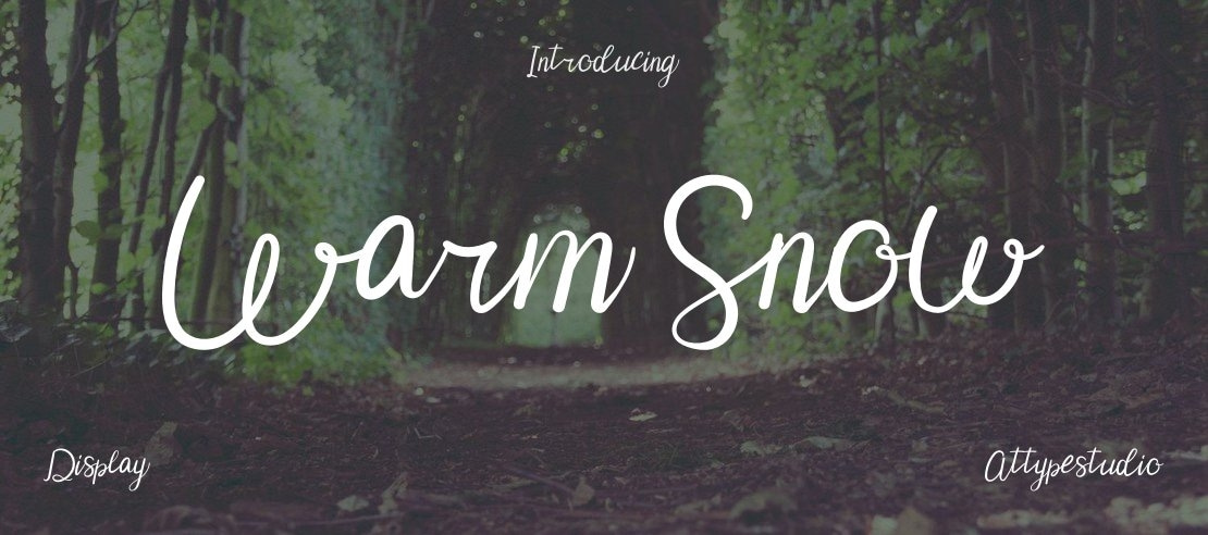 Warm Snow Font