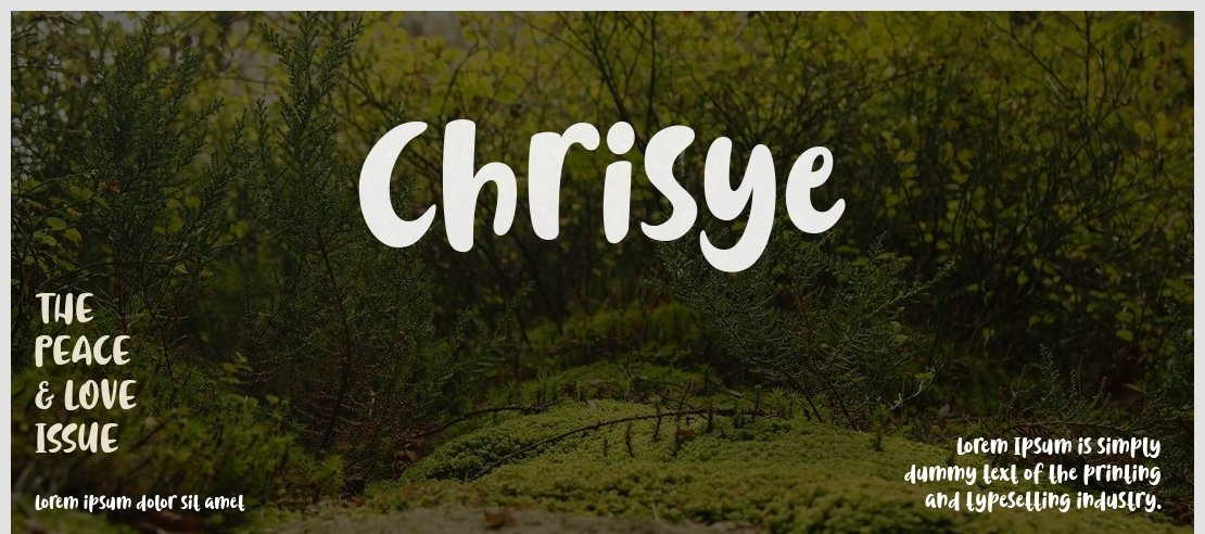 Chrisye Font