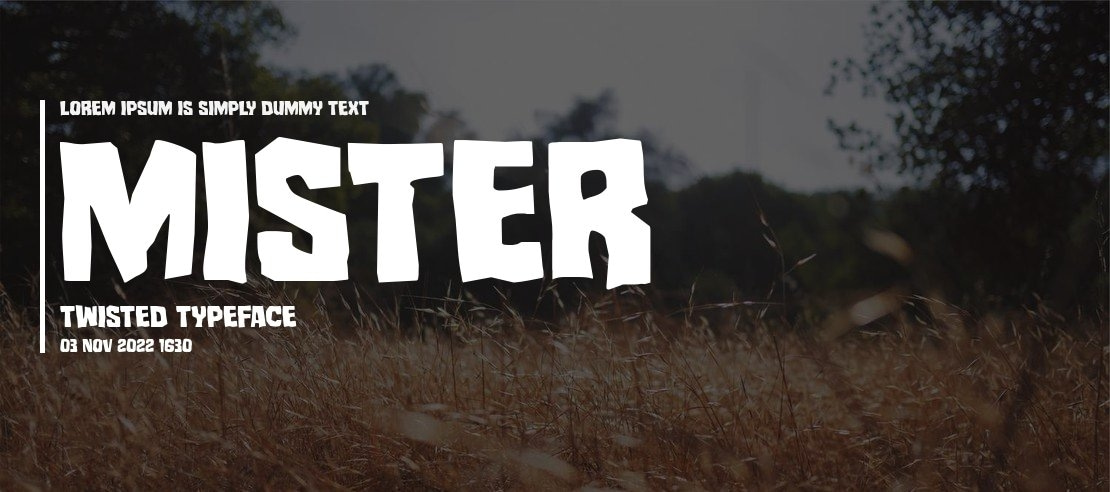 Mister Twisted Font Family