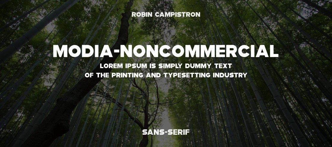 Modia-NonCommercial Font