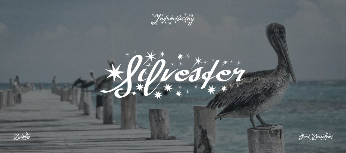 Silvester Font Family