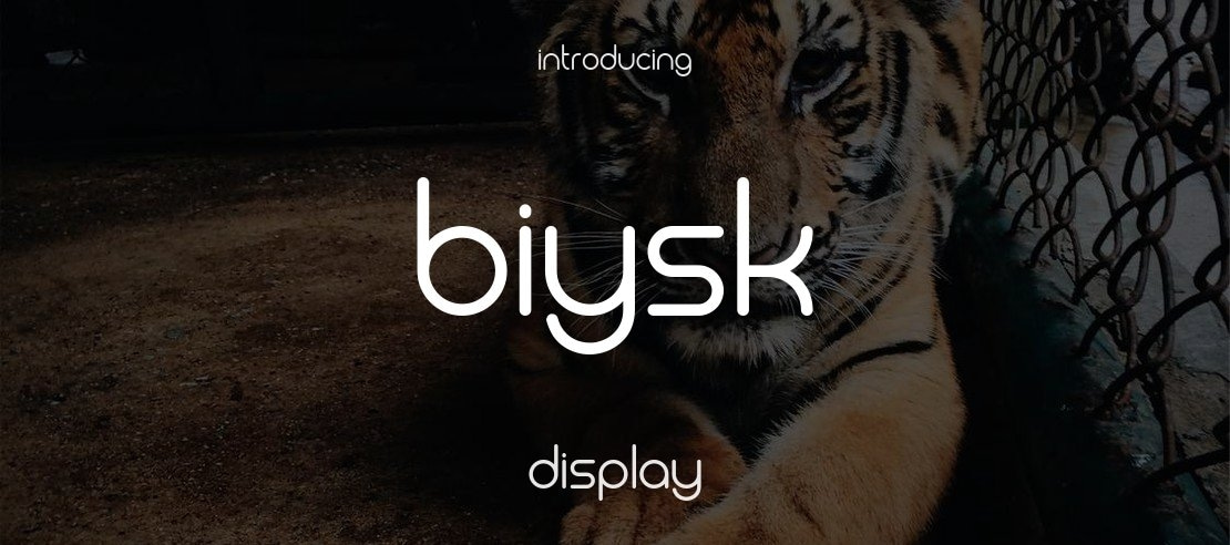 Biysk Font Family