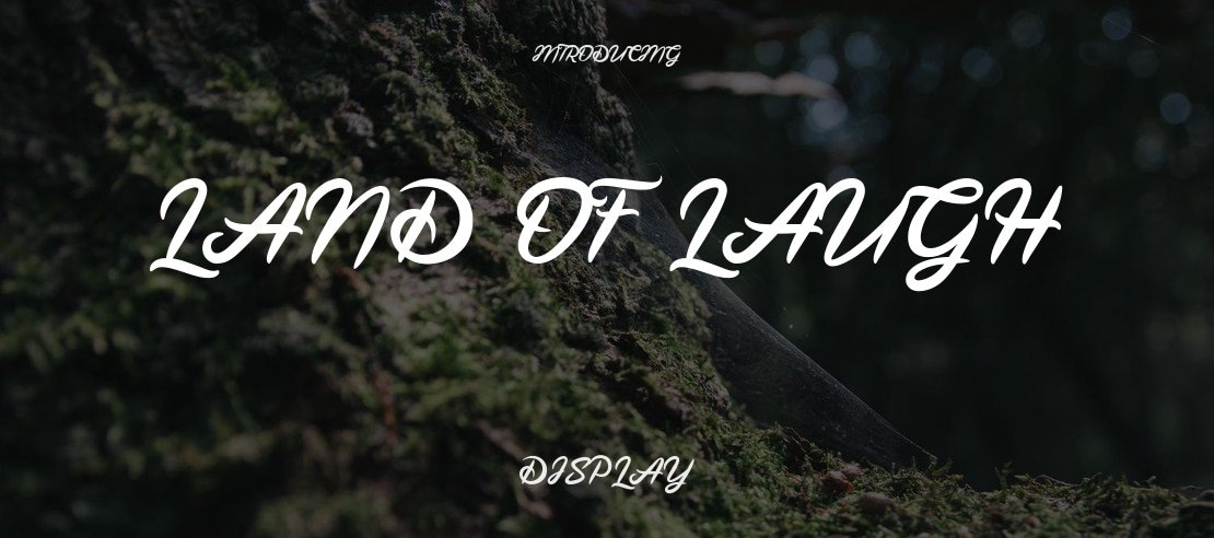 Land Of Laugh Font