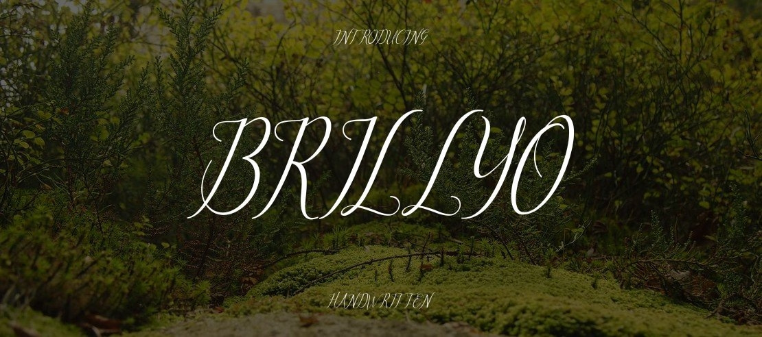 brillyo Font Family