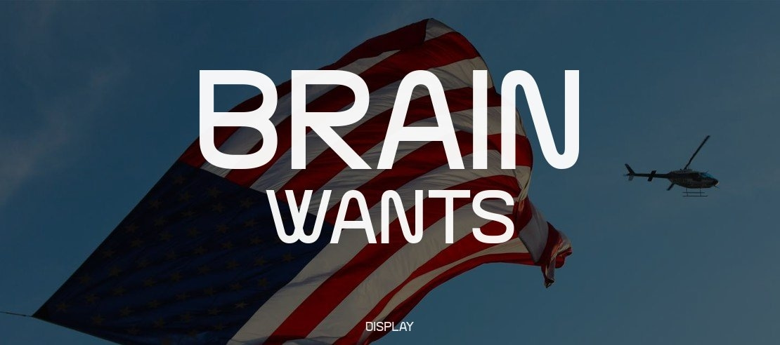 Brain Wants Font