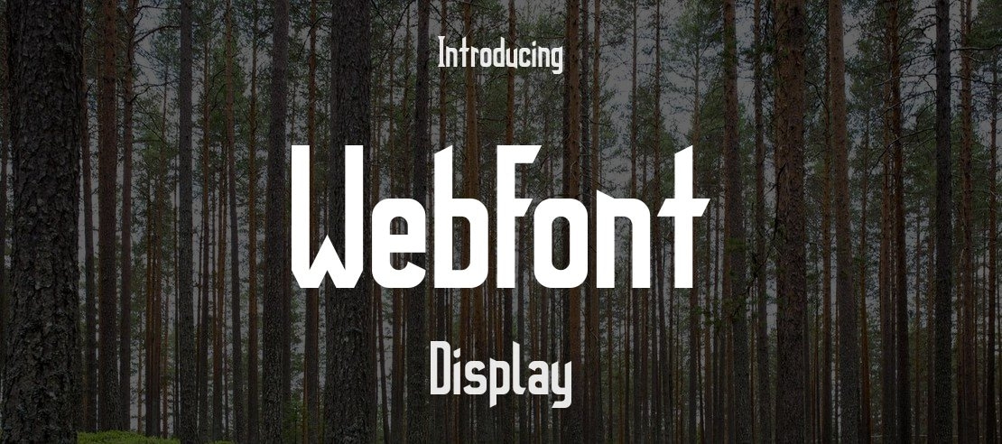 WebFont Font