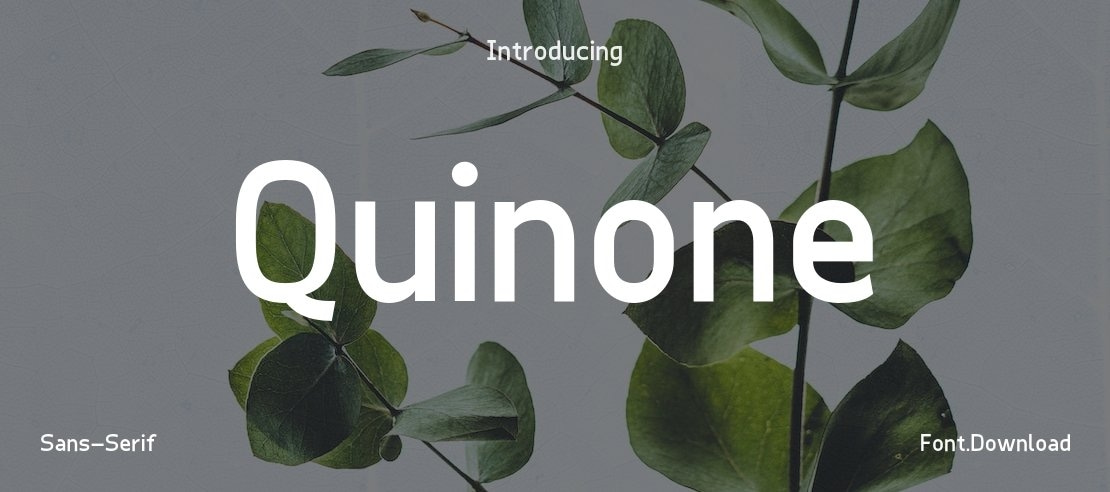 Quinone Font Family