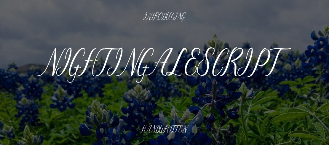 NightingaleScript Font