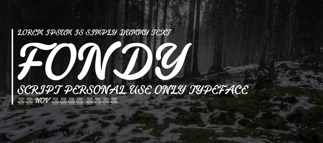 Fondy Script PERSONAL USE ONLY Font