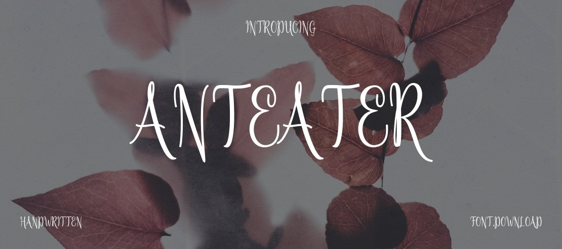 Anteater Font