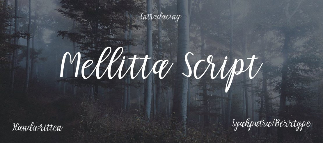 Mellitta Script Font Family