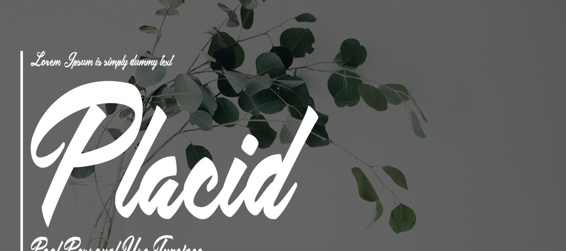 Placid Pool Personal Use Font