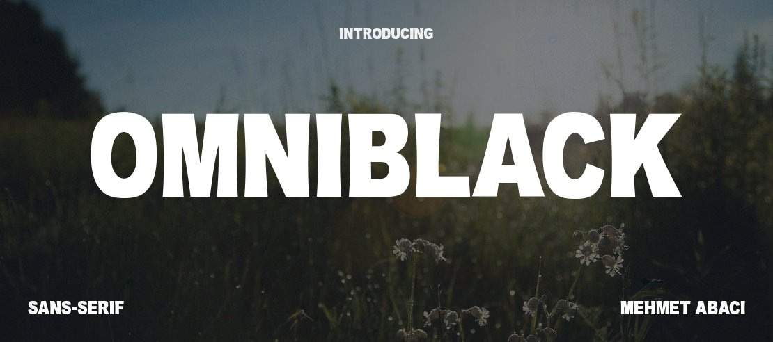 OMNIBLACK Font Family