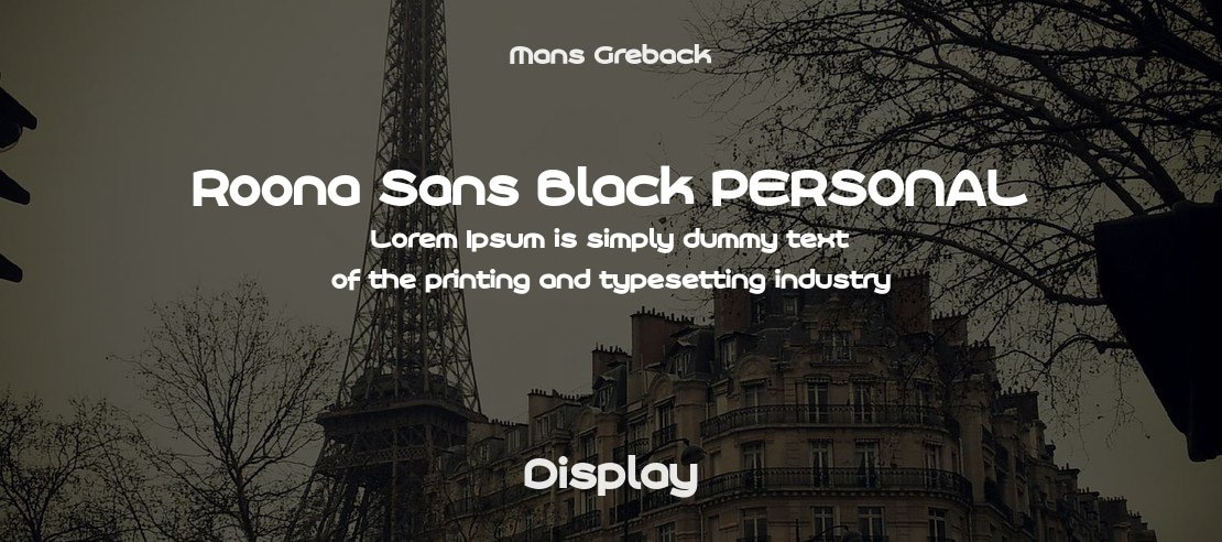 Roona Sans Black PERSONAL Font Family