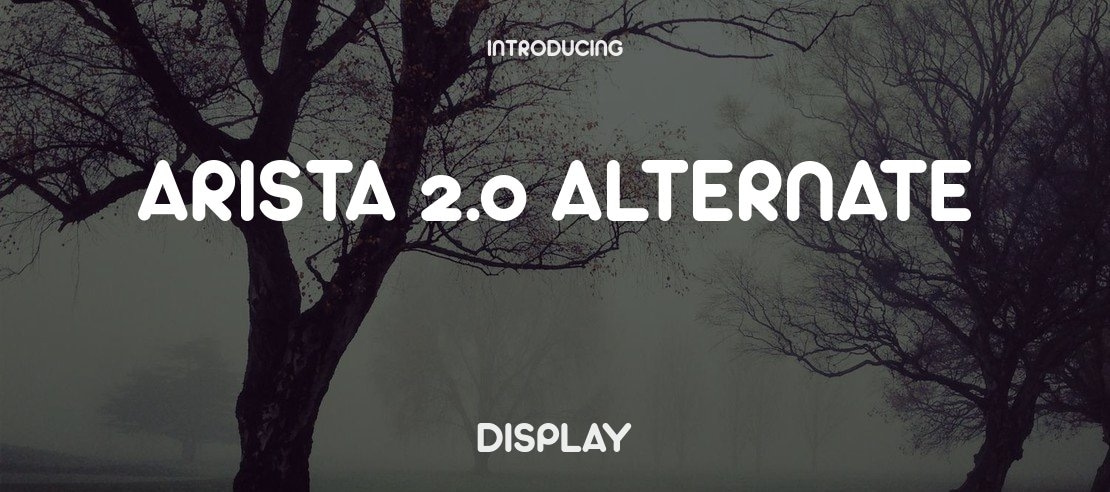 Arista 2.0 Alternate Font Family