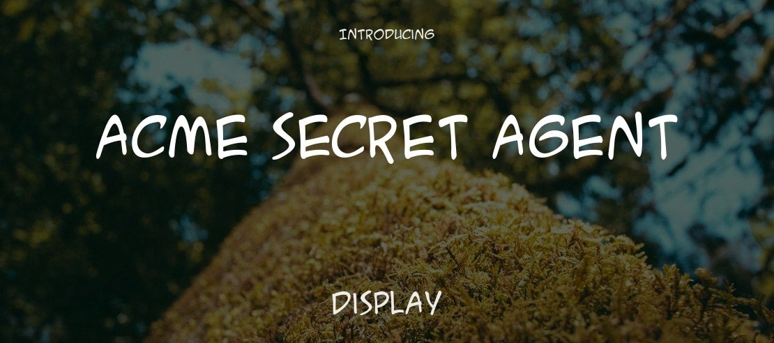 ACME Secret Agent Font Family