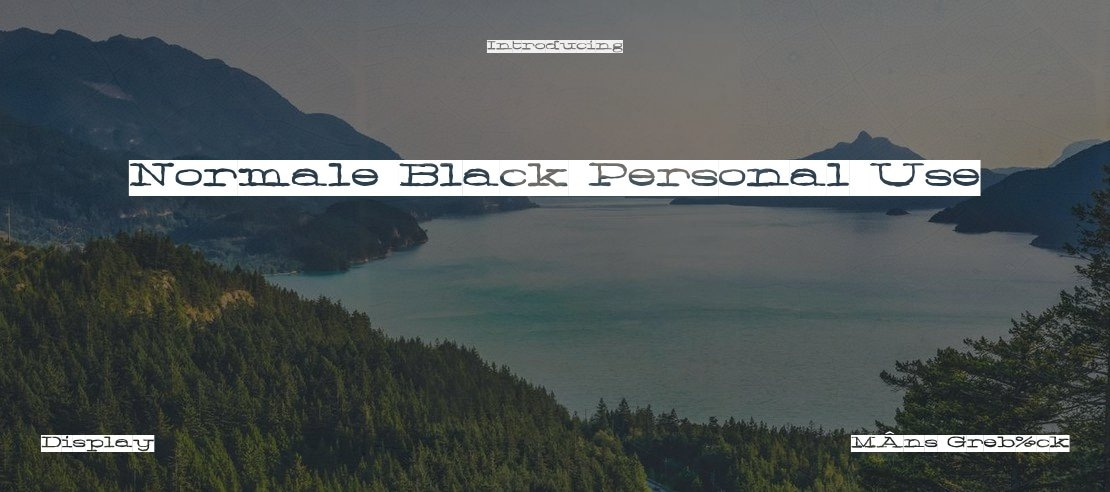 Normale Black Personal Use Font Family