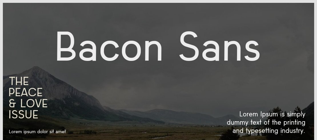 Bacon Sans Font