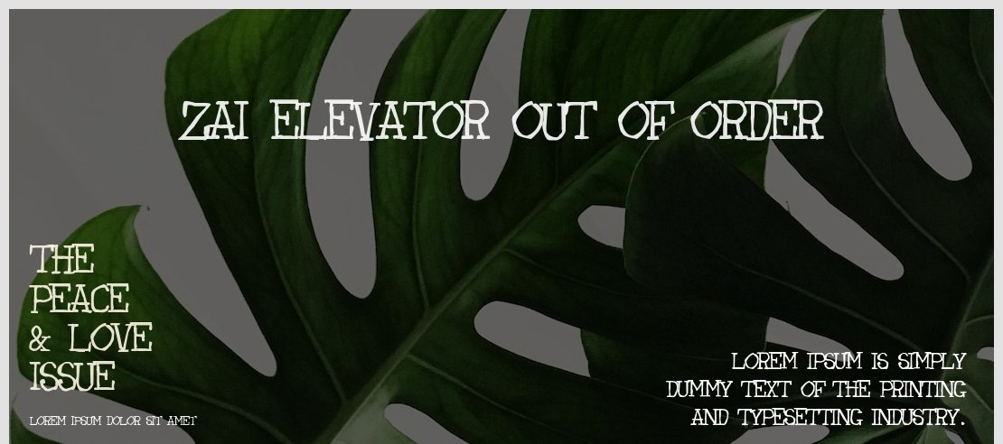 zai Elevator Out Of Order Font