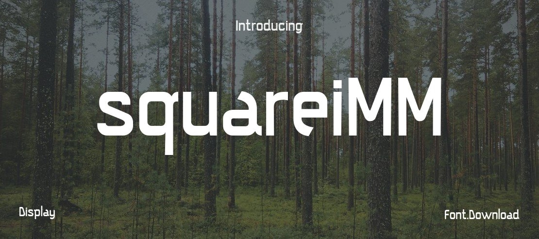 squareiMM Font