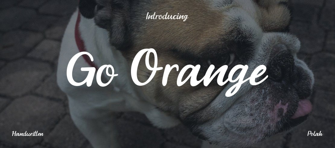 Go Orange Font