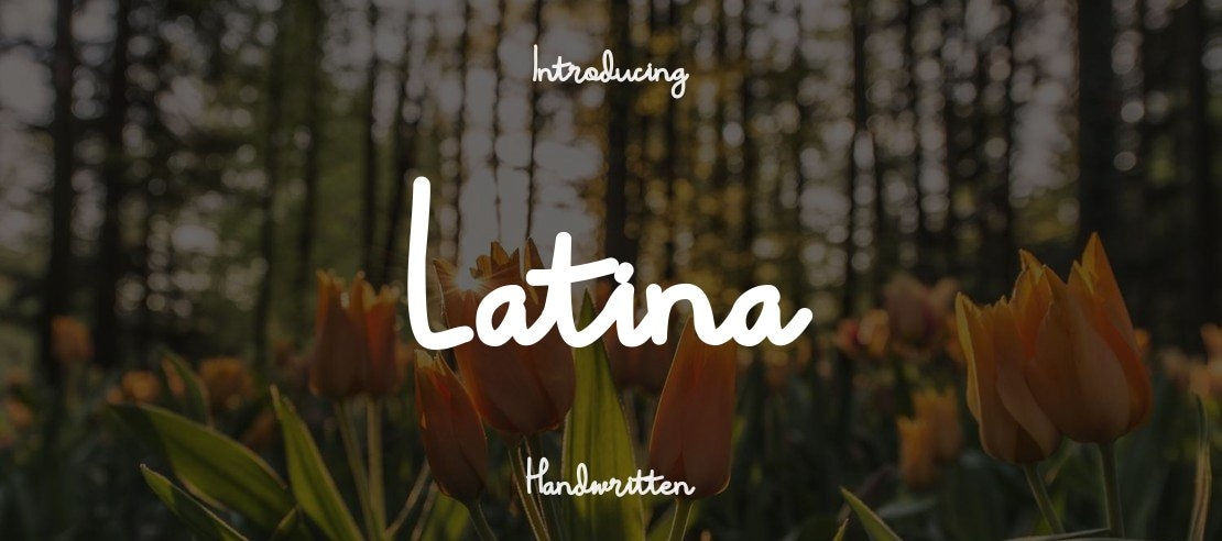 Latina Font
