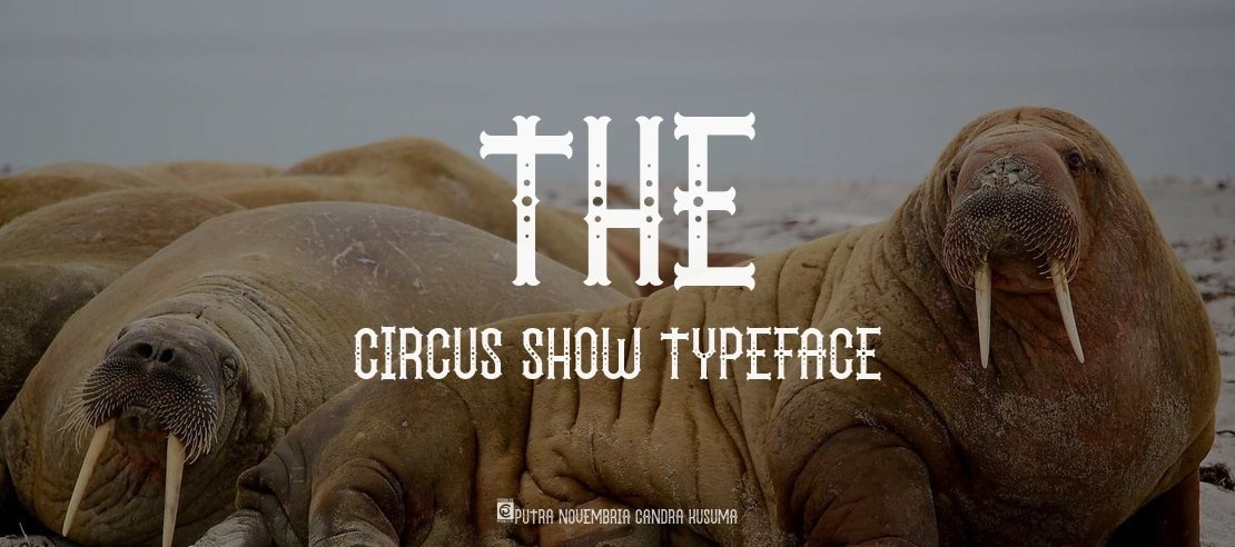 The Circus Show Font