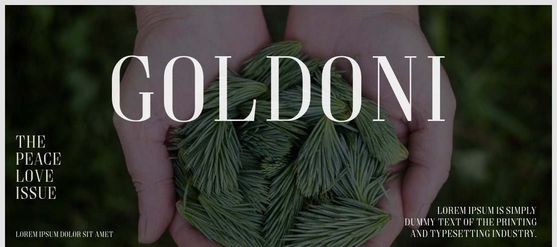 Goldoni Font