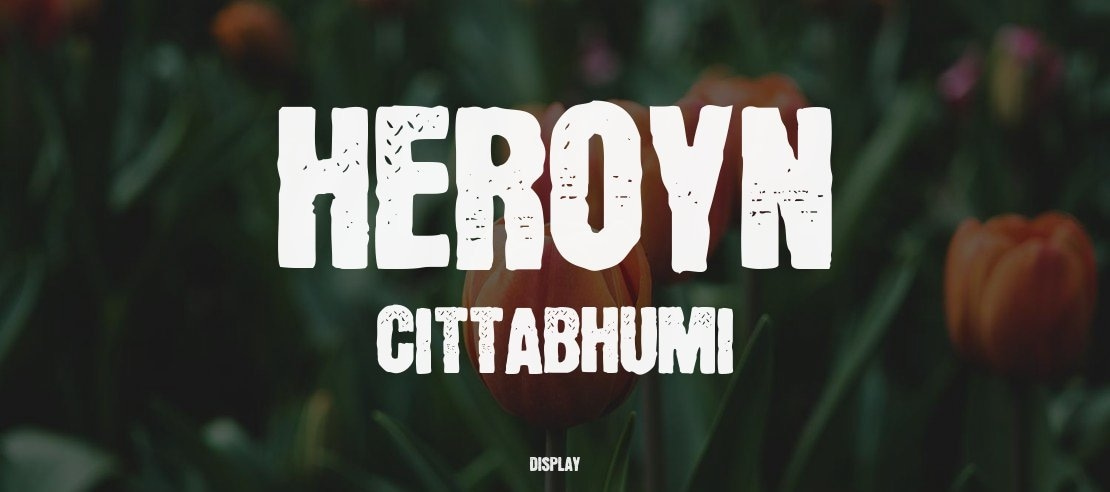 Heroyn Cittabhumi Font